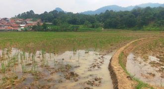 Dijual Tanah Strategis 3,2 Hektar – Cigudeg Bogor